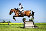 The Event at Rebecca Farm leaps into 25th year this week