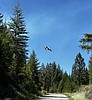 Crews battling Upper Smith Fire