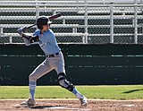 Diamond Ducks finish summer in postseason tourney