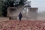 Farmworker wage complaints in WA caught in state agency backlog, report finds