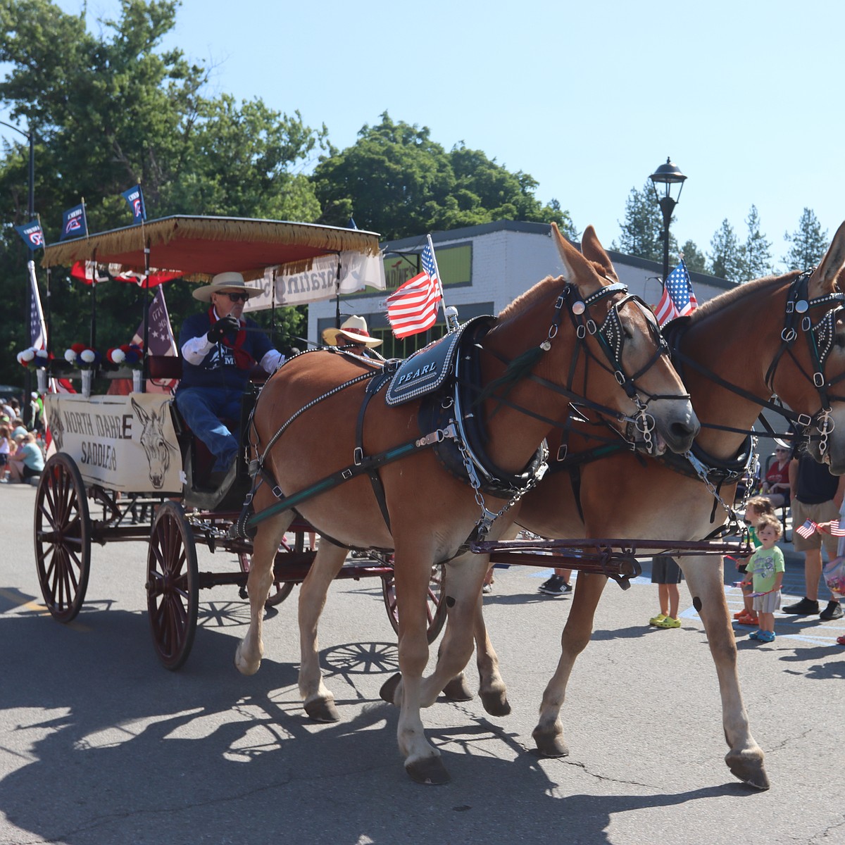 Heartwarming stories, priceless floats abound at Rathdrum parade