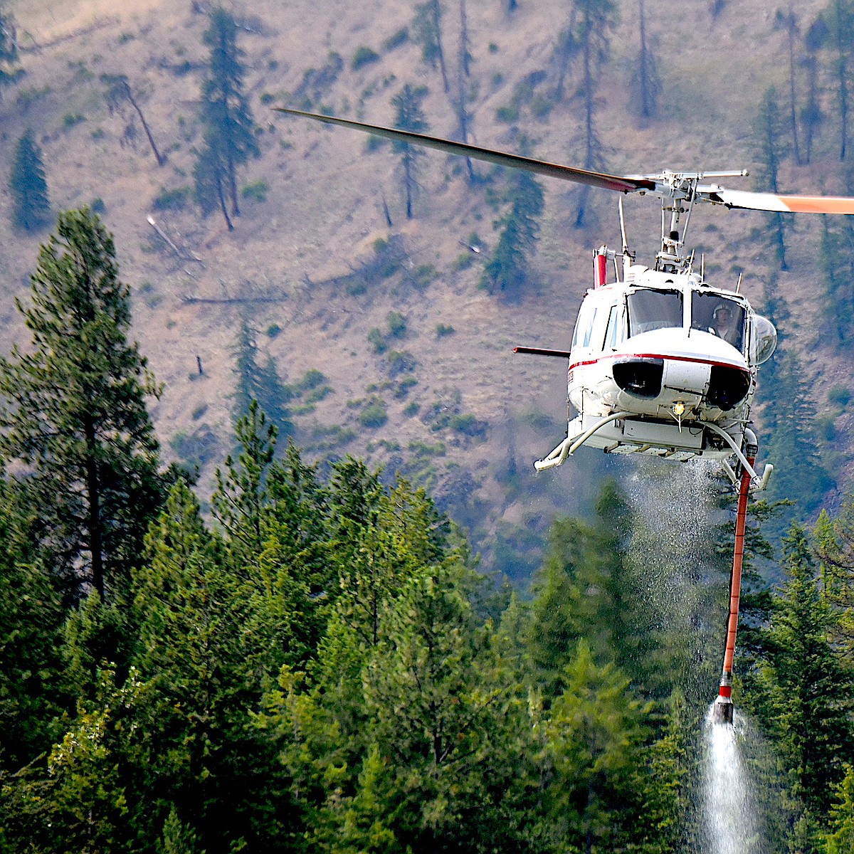 Lightning strikes spur fire crews into action
