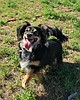 Can you help Emmaline find her forever family?