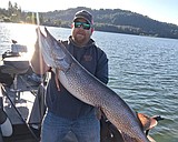 New state record Northern pike hauled out of Lake Pend Oreille