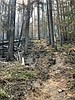 Crews make headway on area wildfires