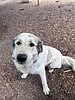 Cessna is ready to be adopted