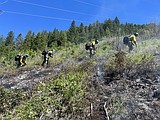 Lightning starts multiple Panhandle fires; officials stress prevention