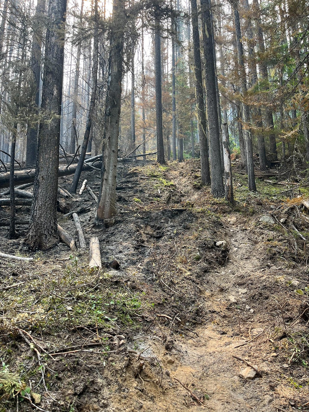 A direct line on the Upper Smith Fire's west side.