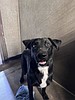 Meet Avery