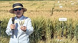 Idaho grain crops fare better than expected following harsh winter