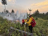 Trumbull Creek fire contained Tuesday