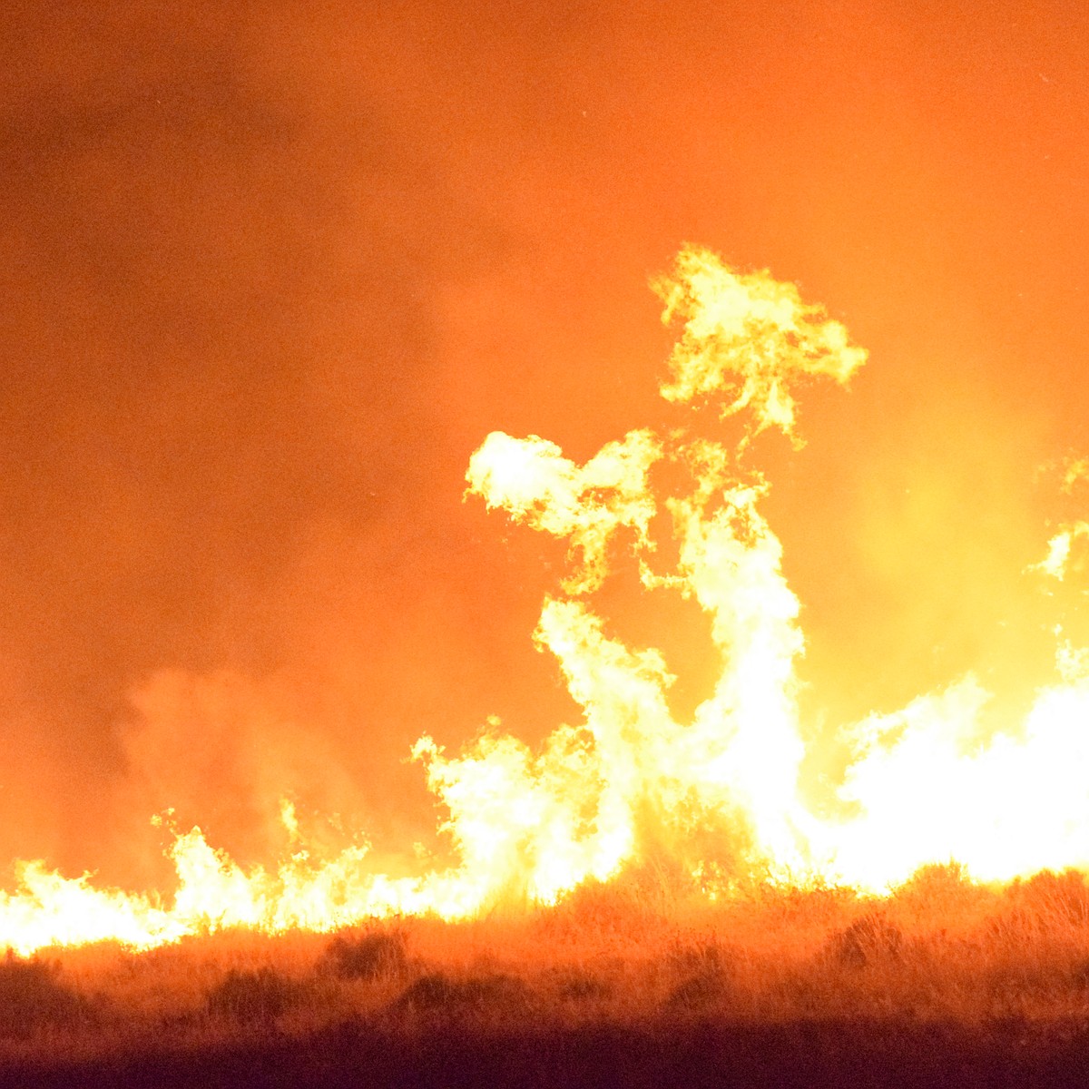 Employers required to monitor air quality during wildfire season