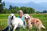 Former veterinarian technician’s boarding business a true passion project