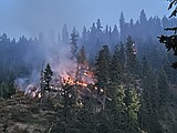Fire burns an acre on Potlatch Hill