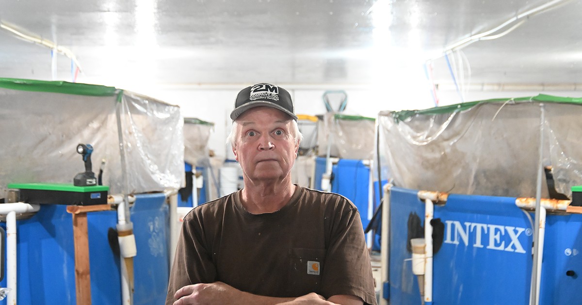 Against the current: Charlo shrimp farmer rebuilds after winning three-year fight to be recognized as a farm