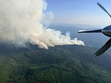 Fire watch issued as new blaze surges in Northwest Montana