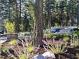 Garden tour sprouts new ideas throughout the state
