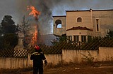 Europe's hot, dry summer takes its toll with fires in France and Greece, and drought in the UK
