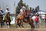 Lake County Fair hosts first and successful rodeo weekend