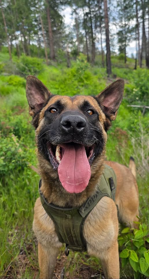 Appa was wounded in a shooting on Tuesday.
