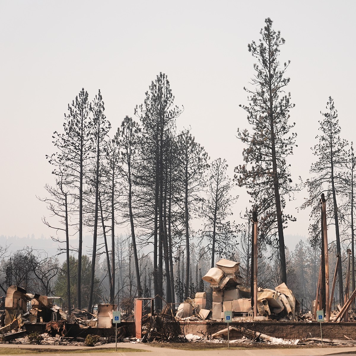 Man charged with arson in Spokane, told police he planned wildfire for weeks