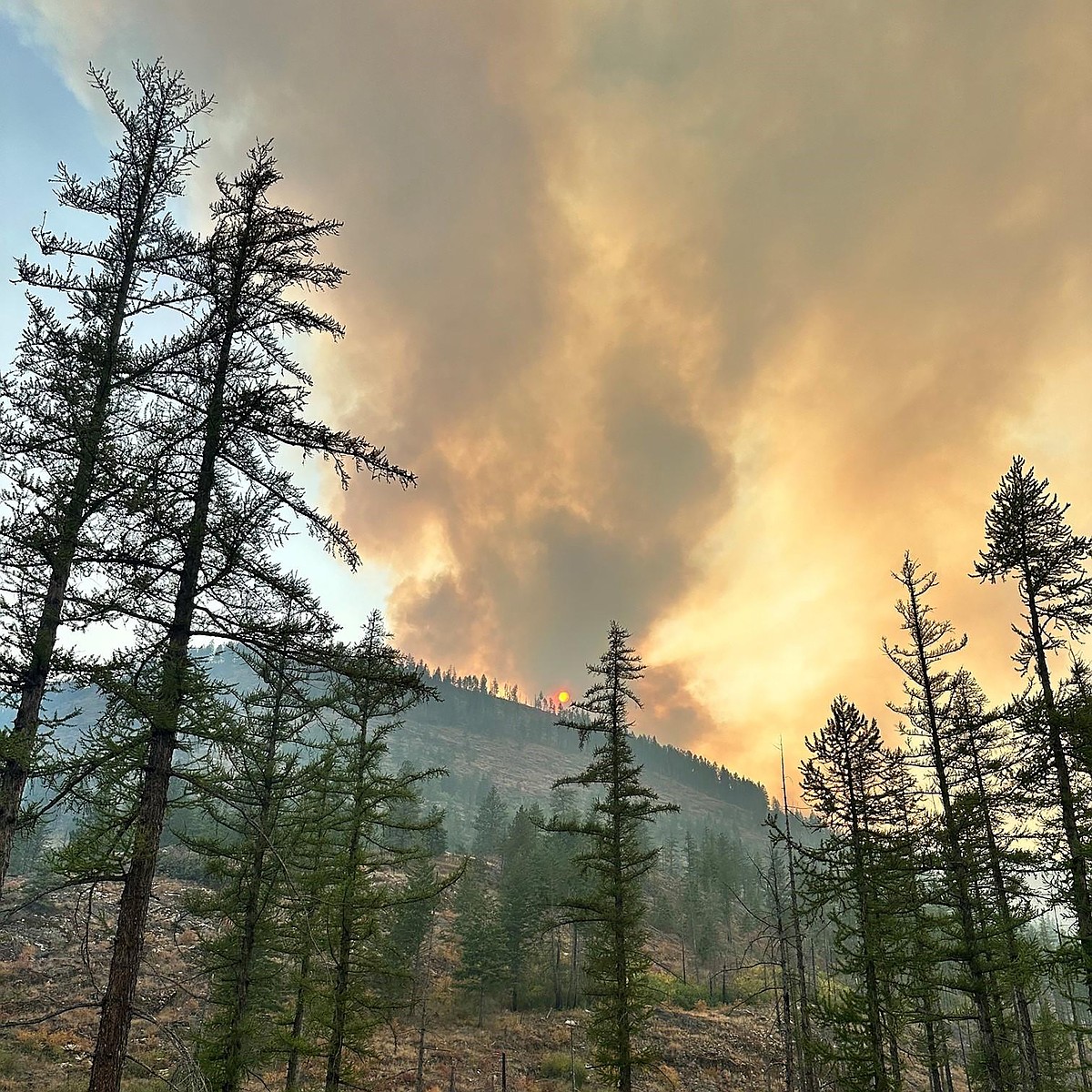 Dry conditions fuel wildfire growth