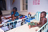 ‘We saw death and suffering’: Dozens of Nigerians freed after 6 months in jihadi captivity