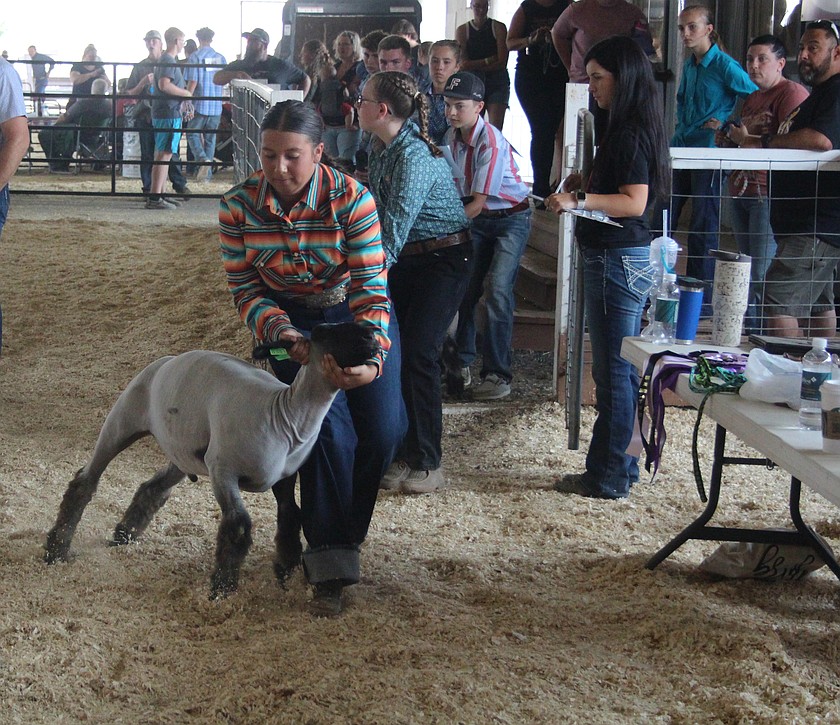 A young exhibitor engages in a battle of wills with a goat at last year’s Grant County Fair. This year’s fair is Aug. 18-22.
