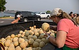 ‘Remain calm’: The first batch of Dixon Melons is here