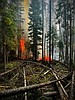 Rain, cooler weather should give region a reprieve from smoke, local fires