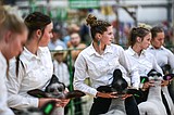 Part of the flock: Young fair competitors continue family tradition of showing sheep