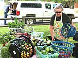 Shared Harvest battles to preserve community treasure