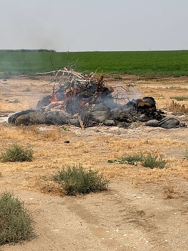 Burn ban remains in effect; officials warn of fines, criminal penalties