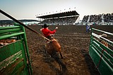 PHOTOS: Scenes from the 2026 Northwest Montana Fair & Rodeo