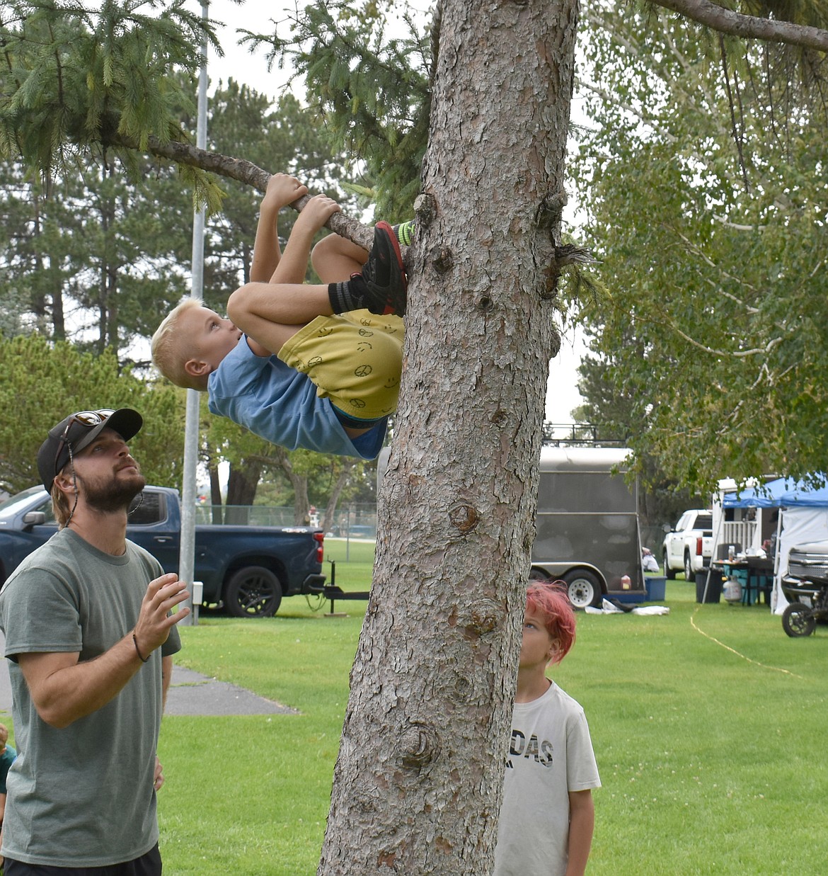 Seven-year-old Indi Kohl of Moses Lake takes a break from creating art to climb a tree at McCosh Park.