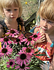 Monarch and Friends Festival brings butterflies to Sandpoint