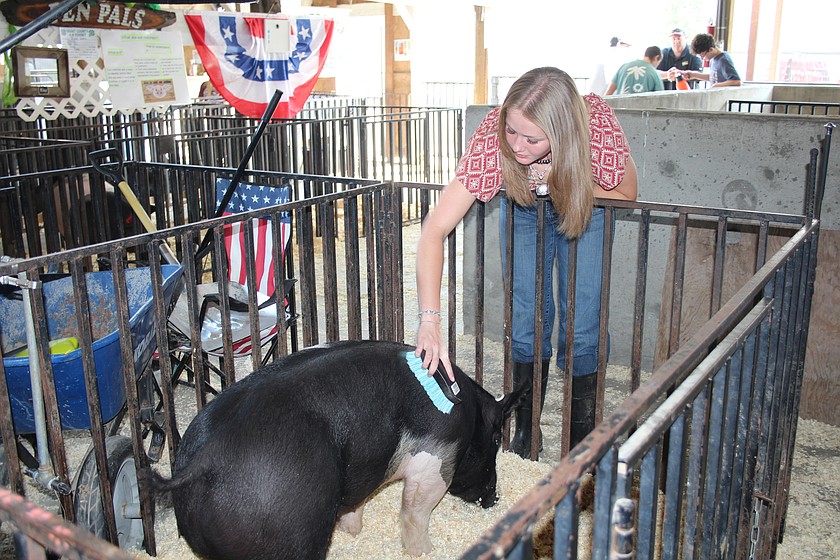 Cayla Hampton, of Othello, keeps her pig clean on the first day of the Grant County Fair. Responsibility is among the many lessons taught through FFA.