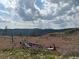 Skillet Fire contained as wildfire concerns shift to Southwest Montana