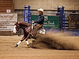 Montana's largest reining event slides into Kalispell