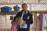 'Baby' and Humphreys win Best in Show