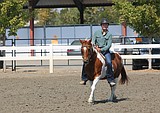 GALLERY: Grant County Youth Equine Program on full display at Grant County Fair