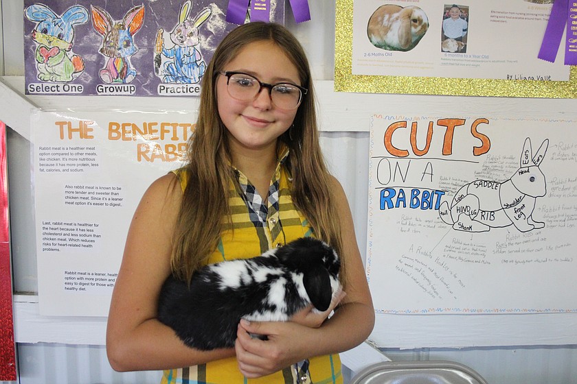 Remmi Reffett and her rabbit Domino will take home multiple awards, including a Grand Champion showmanship ribbon, from the Grant County Fair.