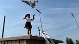 Phoenix is flying again