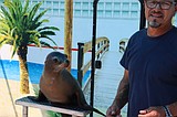 Sea lions, snakes and some 'good ol'fashioned family fun'