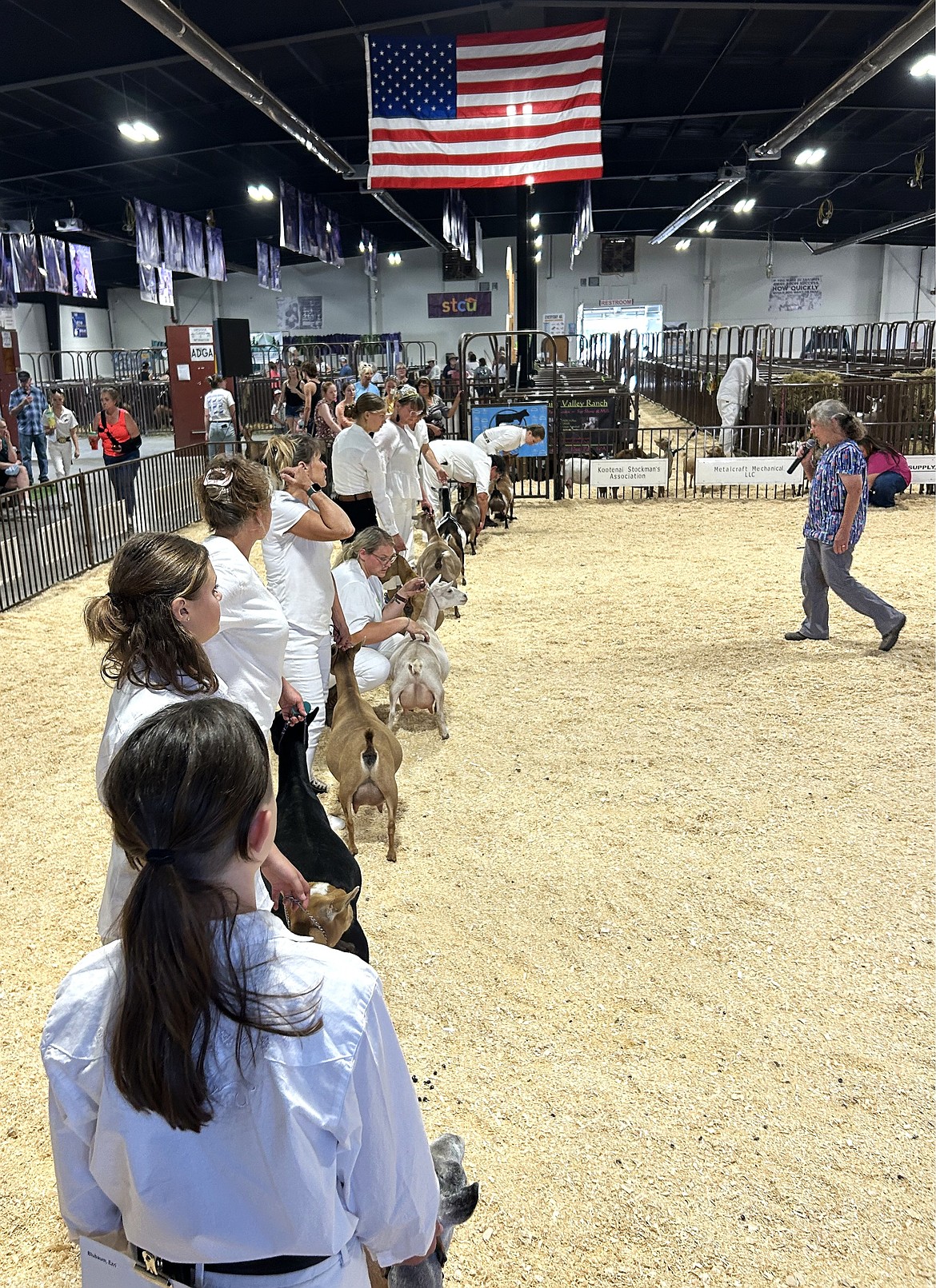 Competitors and their small animals line up during the North Idaho State Fair on Friday.