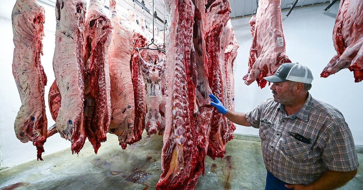 Northwest Montana ranchers band together to ease meat packing pressures through co-op