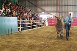 Passing the halter to the next generation