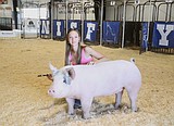 Oink if you love the fair