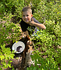Huckleberry season disappoints local harvesters