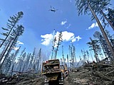Firefighters handle small fire starts west of Whitefish